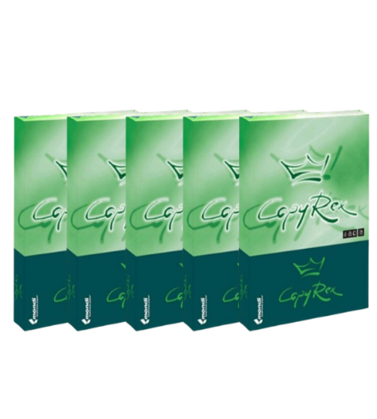 Lot de 5 Ramettes de papier blanc Mondi A3 80g/m² 500 feuilles